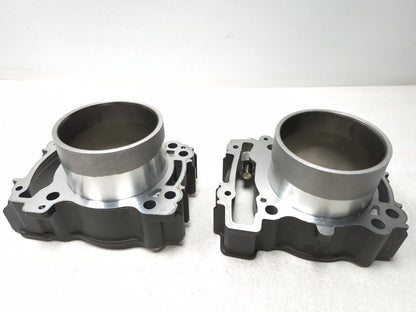 2017 Indian Scout Front & Rear Engine Motor Cylinder Pair OEM