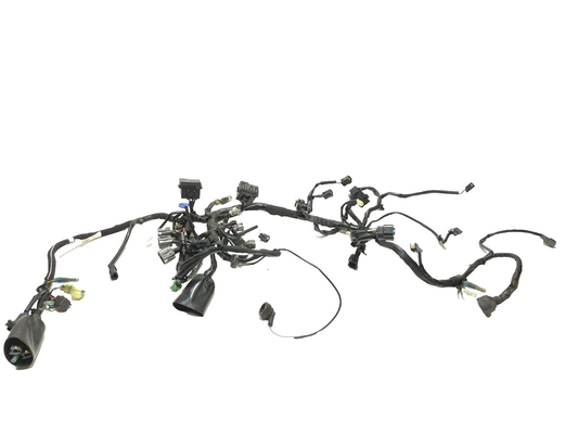 2019 Kawasaki Ninja Ex400 Main Wiring Harness OEM