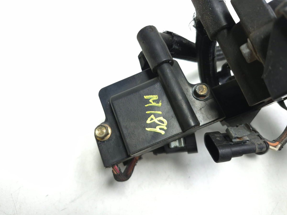 2010-2017 Ski-doo Mxz Summit Renegade 600 800 E-tec Twin Ignition Coil Pack