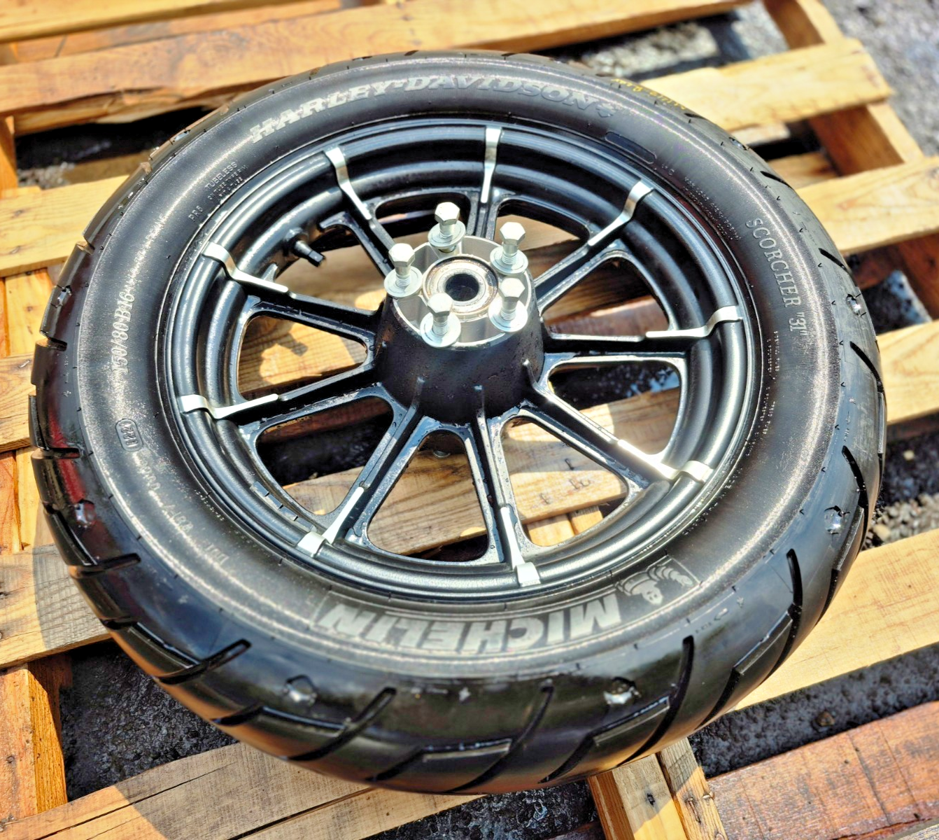 2021 Harley-davidson Sportster Xl1883 Rear Wheel Rim & Tire OEM