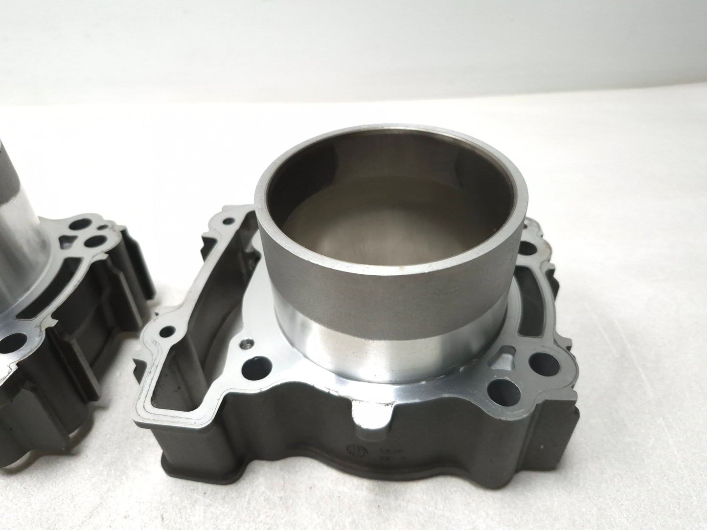 2017 Indian Scout Front & Rear Engine Motor Cylinder Pair OEM