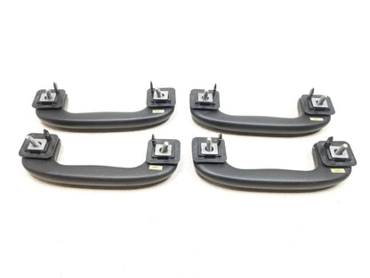 2022 Chevrolet Trailblazer Overhead Roof Grab Handle OEM