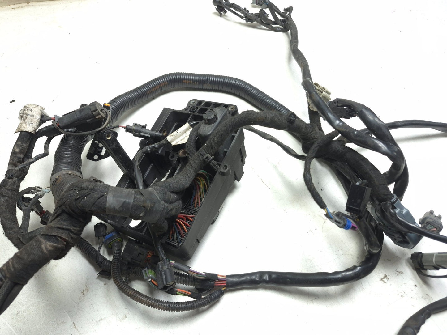 2008 Harley-davidson Dyna Fat Bob Fxdf Main Wiring Wire Harness Loom OEM