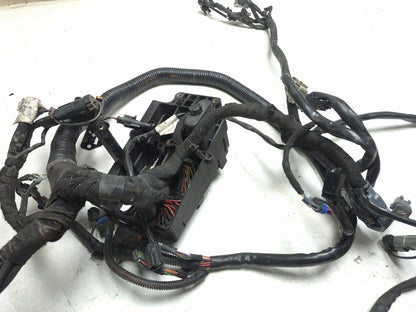 2008 Harley-davidson Dyna Fat Bob Fxdf Main Wiring Wire Harness Loom OEM