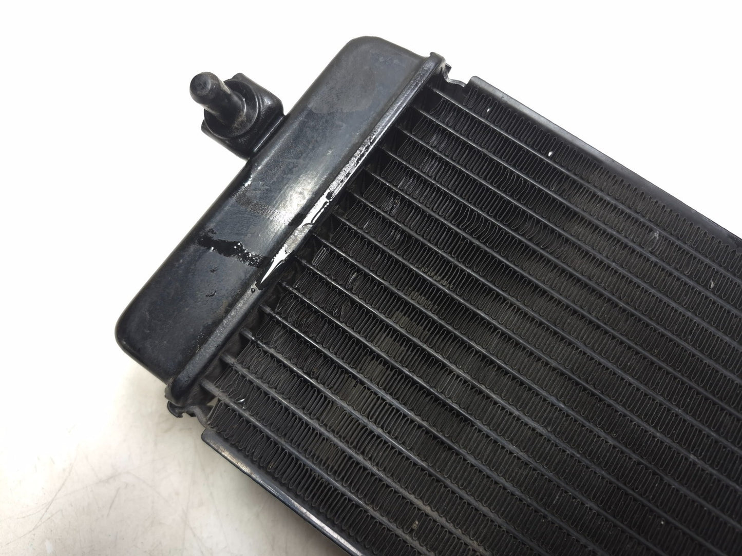 2015 Suzuki Gw250 Inazuma 250 Radiator OEM