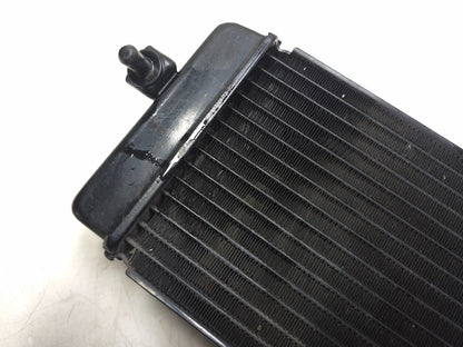 2015 Suzuki Gw250 Inazuma 250 Radiator OEM