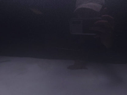 15-23 Dodge Challenger Driver Door Shell Panel Side *color: Pau* OEM 87k ✅