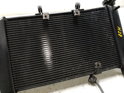 2014 - 2018 Honda Cbr650f Radiator Coolant  OEM