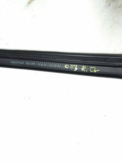 2019 Tesla Model 3 Rear Door Weatherstrip Seal Driver Side Left 2pcs OEM