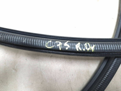 2010 Lexus Hs250h Rear Door Weatherstrip Seal Left Driver Side Set OEM