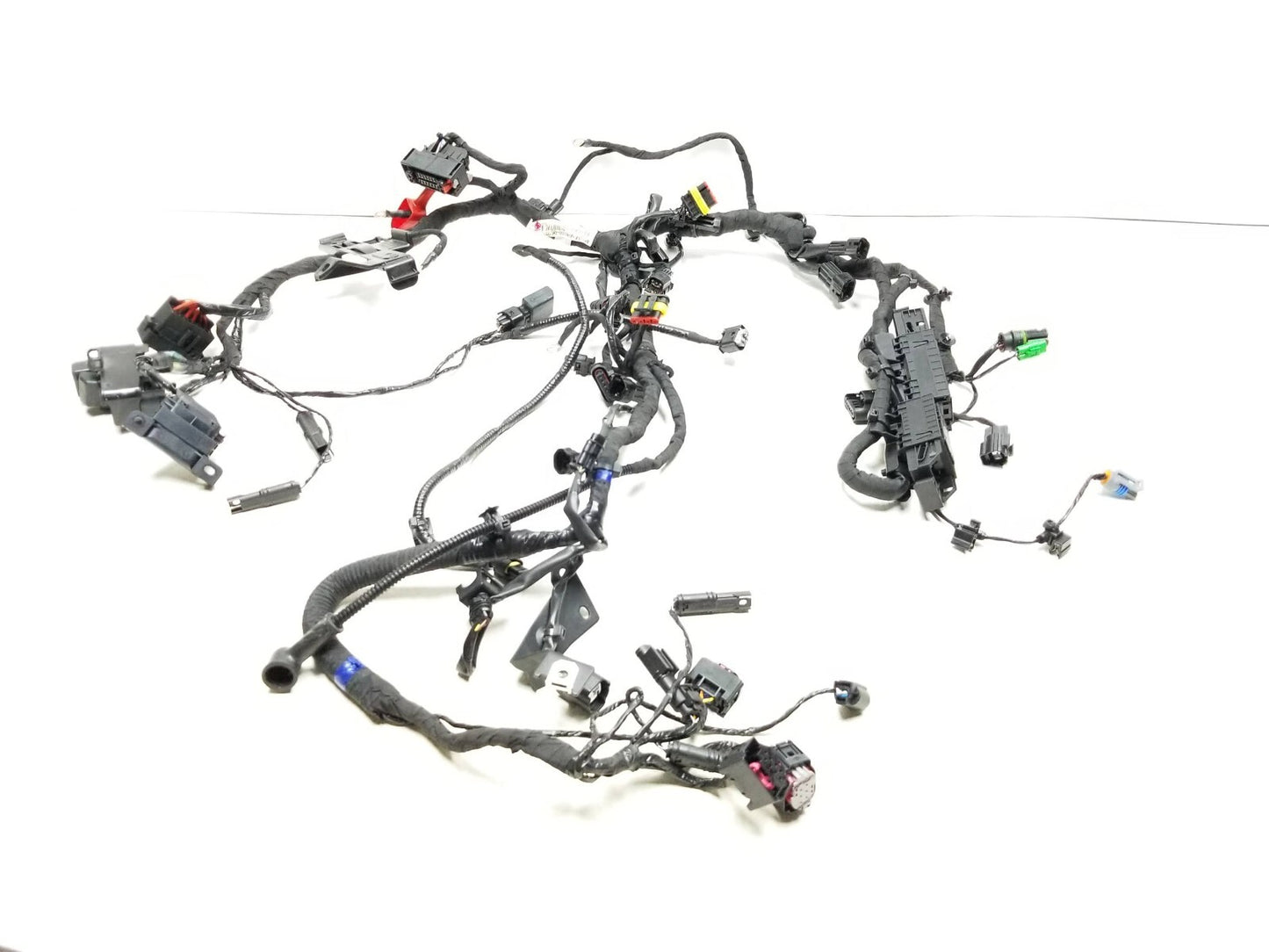 2023 BMW G310r Main Wire Wiring Harness  OEM