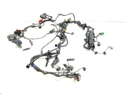 2023 BMW G310r Main Wire Wiring Harness  OEM