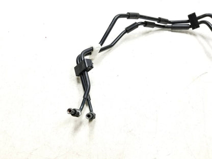 19 - 23 Honda Cbf300 Na Brake Hose Pipe Line Front & Rear OEM