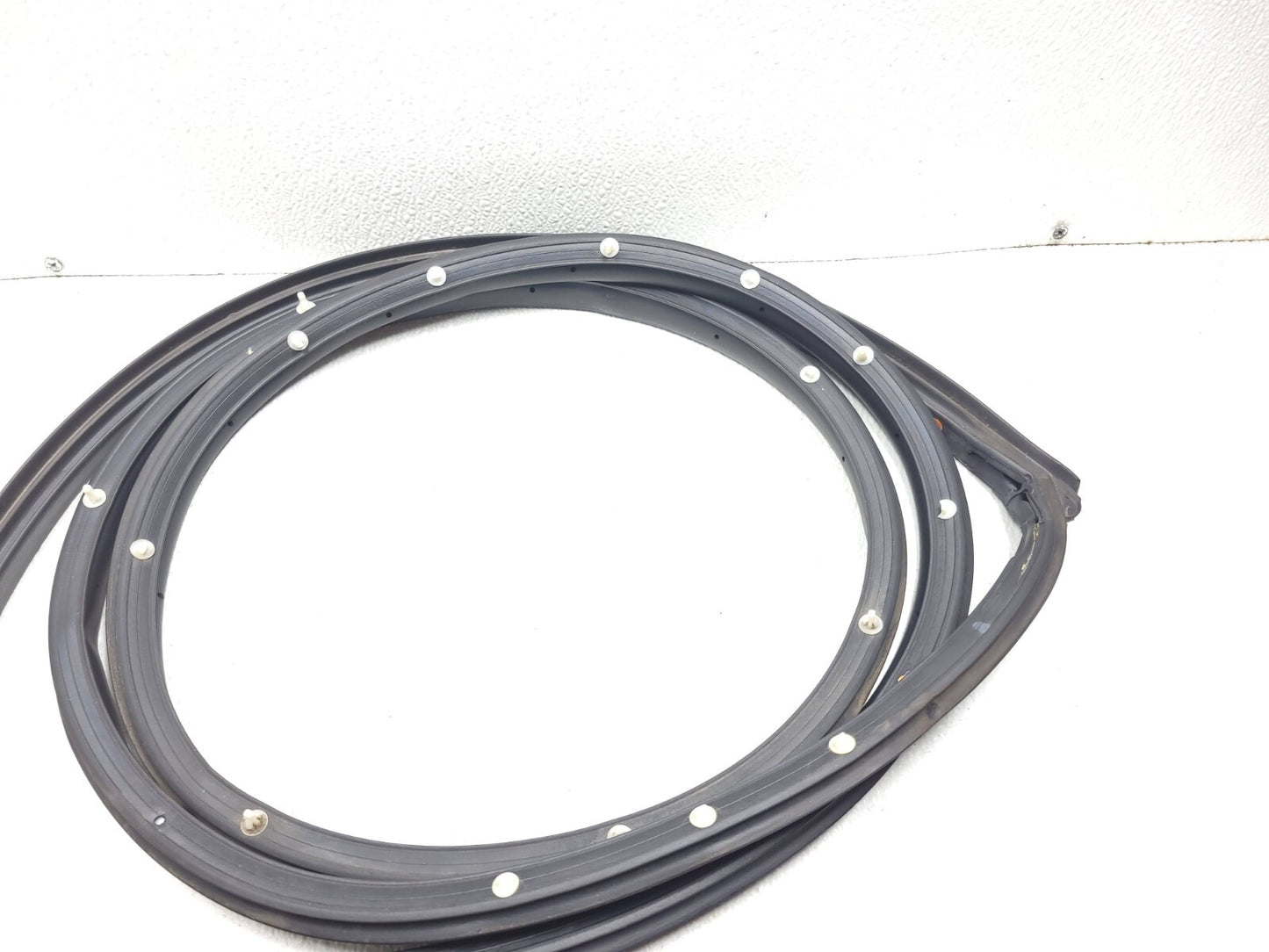 14 15 16 Hyundai Elantra Door Weatherstrip Seal Rear Left Driver Side OEM Sedan