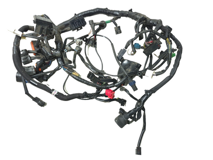 2019 Kawasaki Z400 Er400d Main Wire Harness OEM