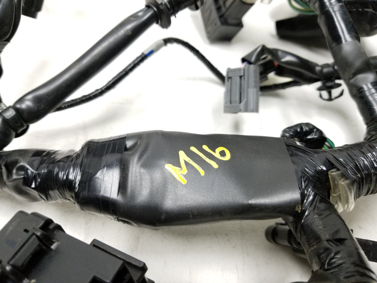 19 - 23 Honda Cbf300 Na Main Engine Wire Harness OEM