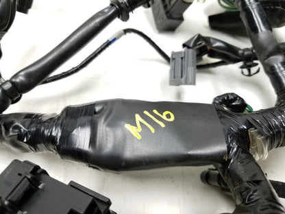 19 - 23 Honda Cbf300 Na Main Engine Wire Harness OEM