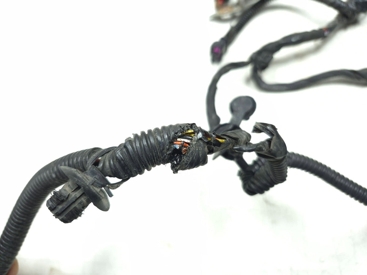 2018 Tesla Model 3 Front Body Under Hood Wire Harness 1067964-01-f OEM