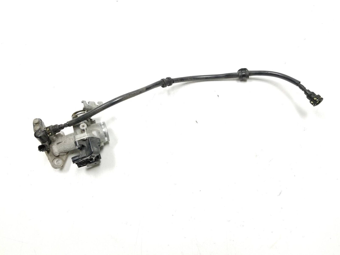 2022-2024 Honda Grom 125 Throttle Body OEM