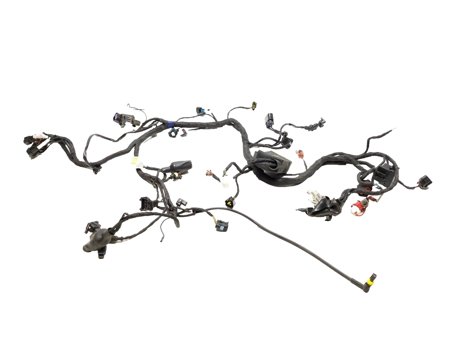 20 - 24 Benelli 302s Engine Main Wire Harness OEM 1609 Miles