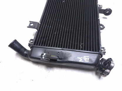 2023 Kawasaki Er400 Z400 Engine Coolant Radiator OEM