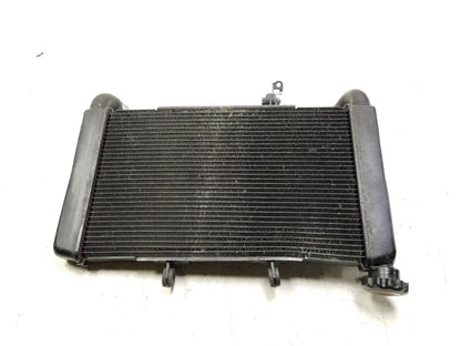 2014 - 2018 Honda Cbr650f Radiator Coolant  OEM