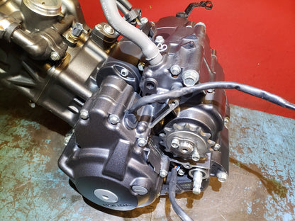 2024 Honda Cbf300 Cb300 Engine OEM 264 Miles!