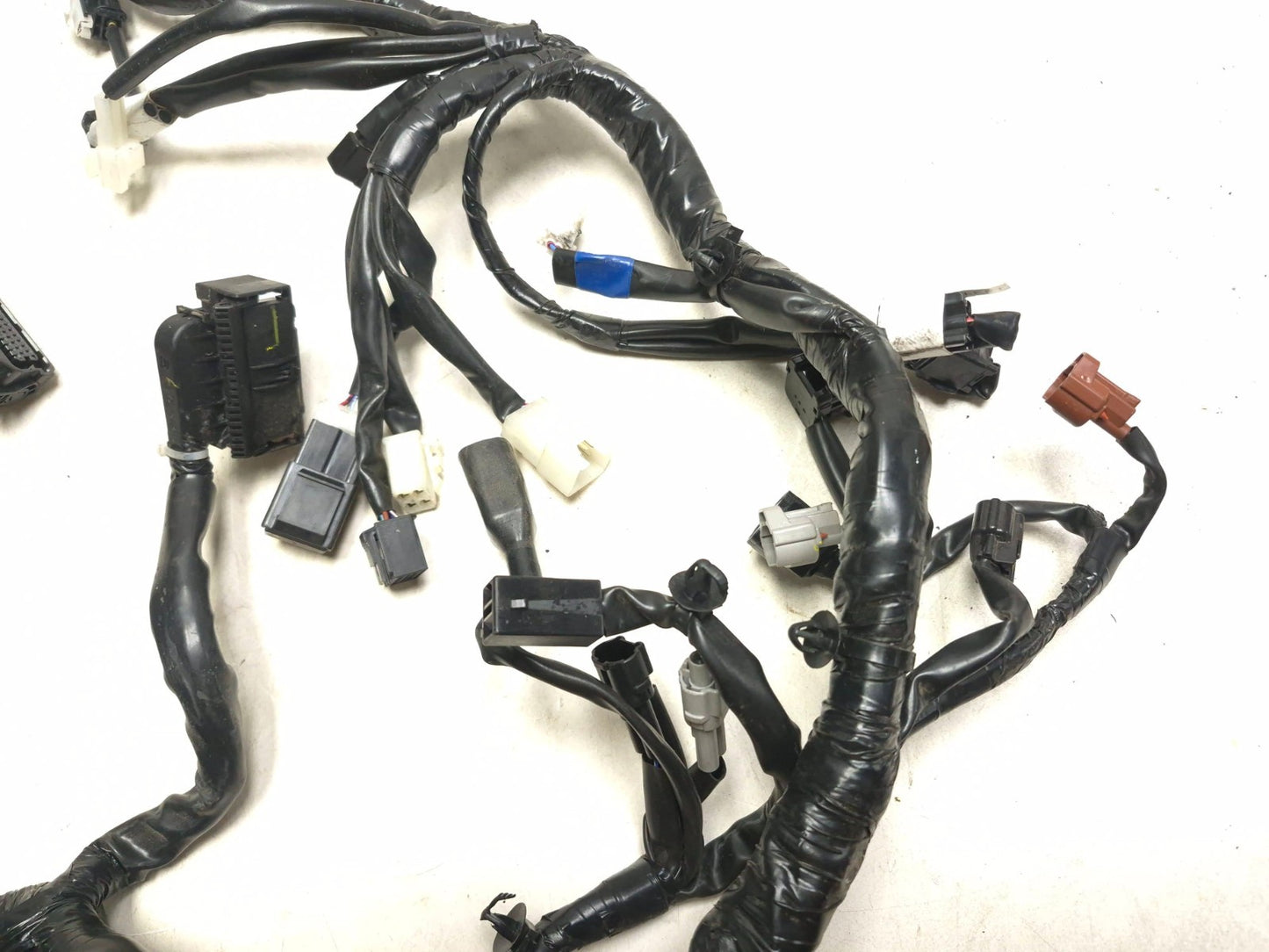 2025 Yamaha Yzf R3 Main Wire Harness OEM