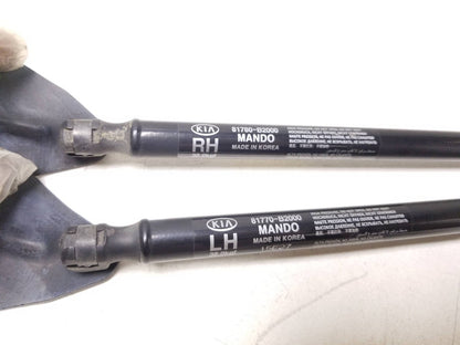 2014 - 2016 Kia Soul Trunk Lid Shock Strut Support Pair OEM