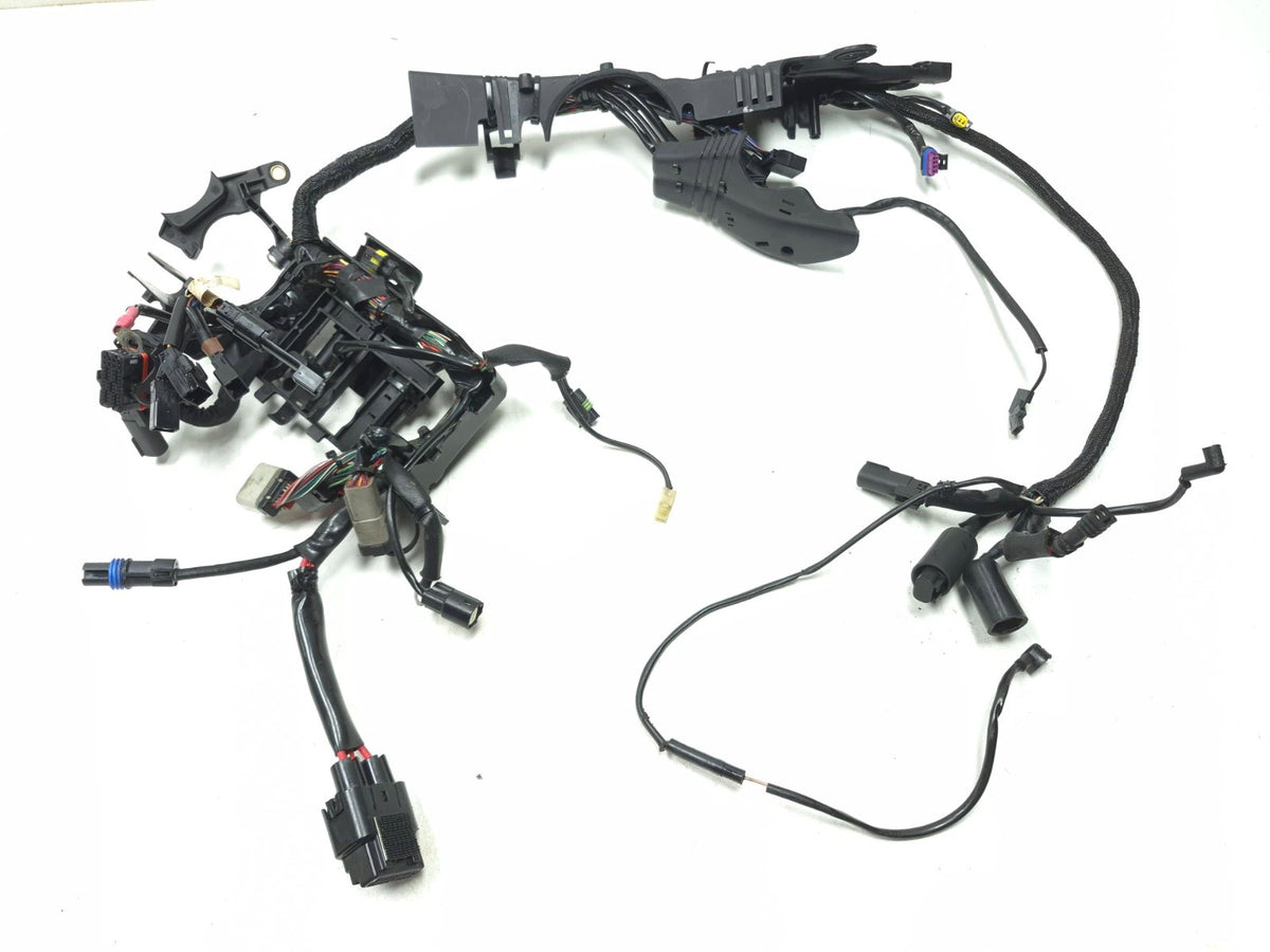 2014 - 2022 Harley Sportster 883 1200 Main Wire Harness *non Abs*