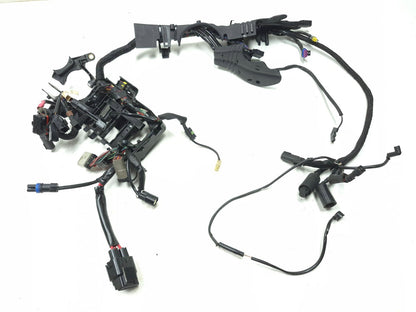 2014 - 2022 Harley Sportster 883 1200 Main Wire Harness *non Abs*
