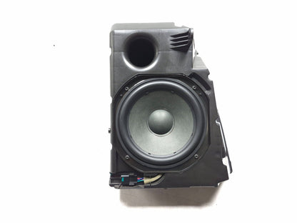 2020 Tesla Model 3 Audio Subwoofer OEM
