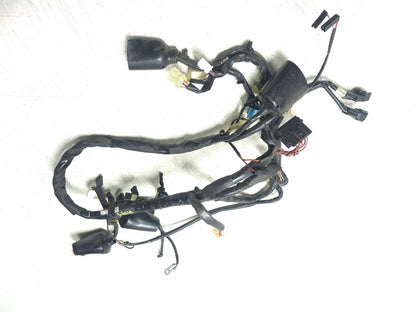 2009 Yamaha Fz6r Main Wire Harness OEM