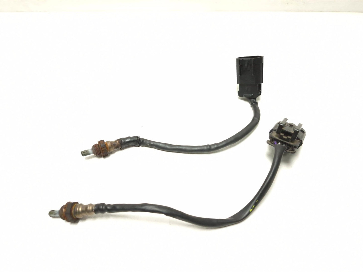 2022 Royal Enfield Int 650 Oxygen Sensor Pair OEM