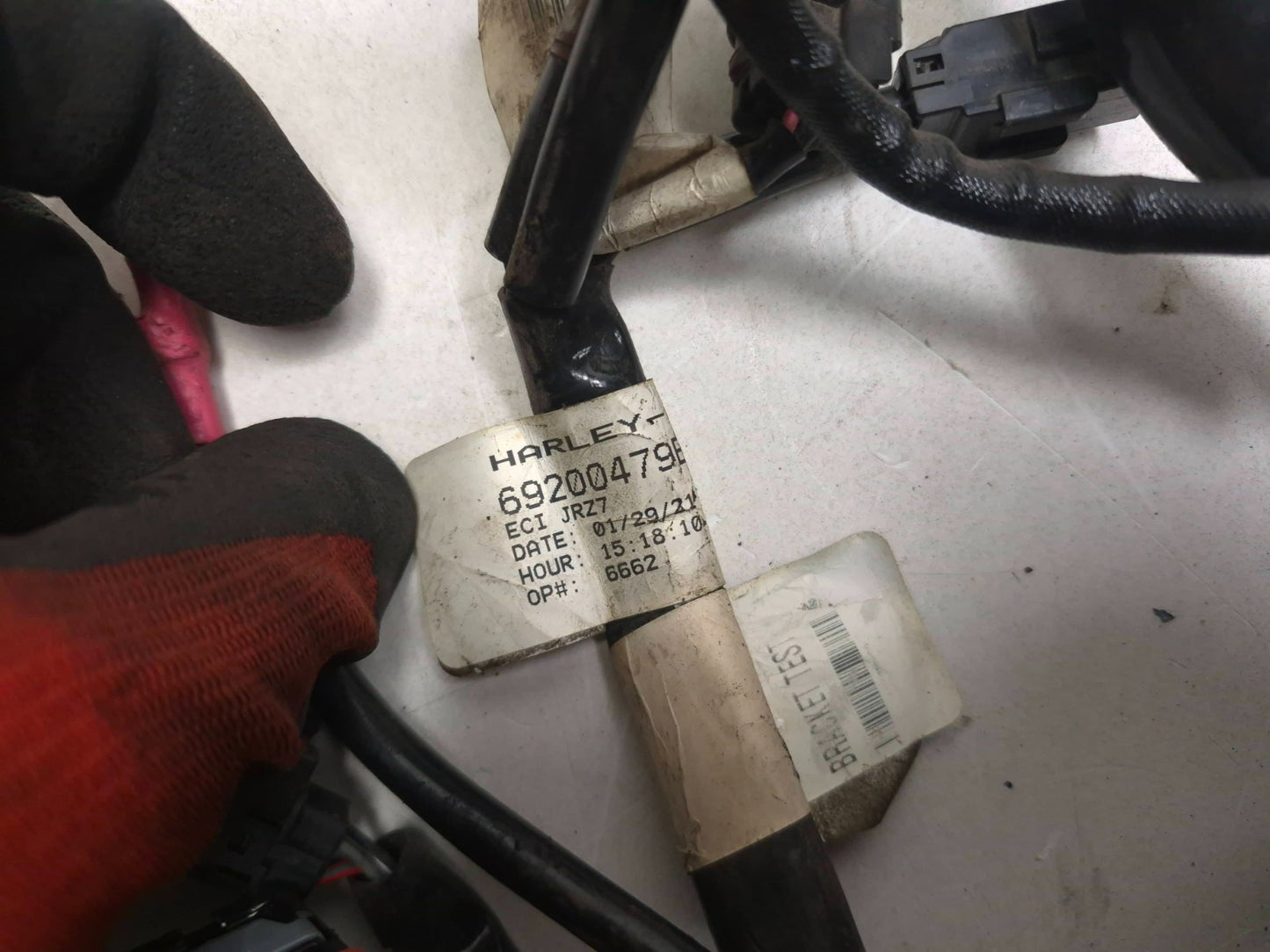 2021 Harley-davidson Sportster Xl1883 ABS Main Wire Wiring Harness OEM