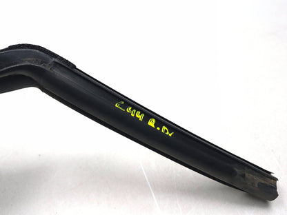 2019 Ford Ecosport Door Weatherstrip Rear Driver Side Left OEM