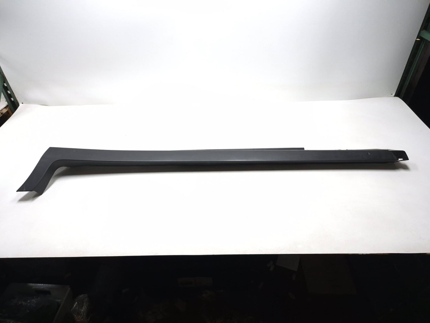 2019 Ford Ecosport Rocker Panel Skirt Molding OEM