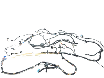 2020 Tesla Model 3 Interior Main Body Wire Harness Left Driver Side OEM