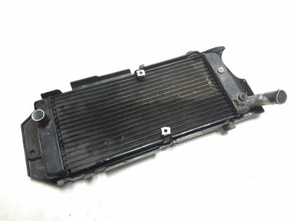 2009 Honda Shadow Spirit Vt750 Engine Cooler Radiator & Grille OEM