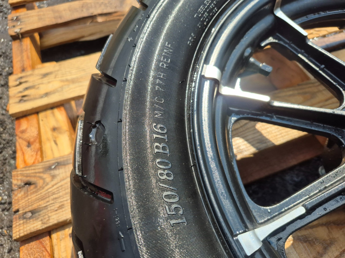 2021 Harley-davidson Sportster Xl1883 Rear Wheel Rim & Tire OEM