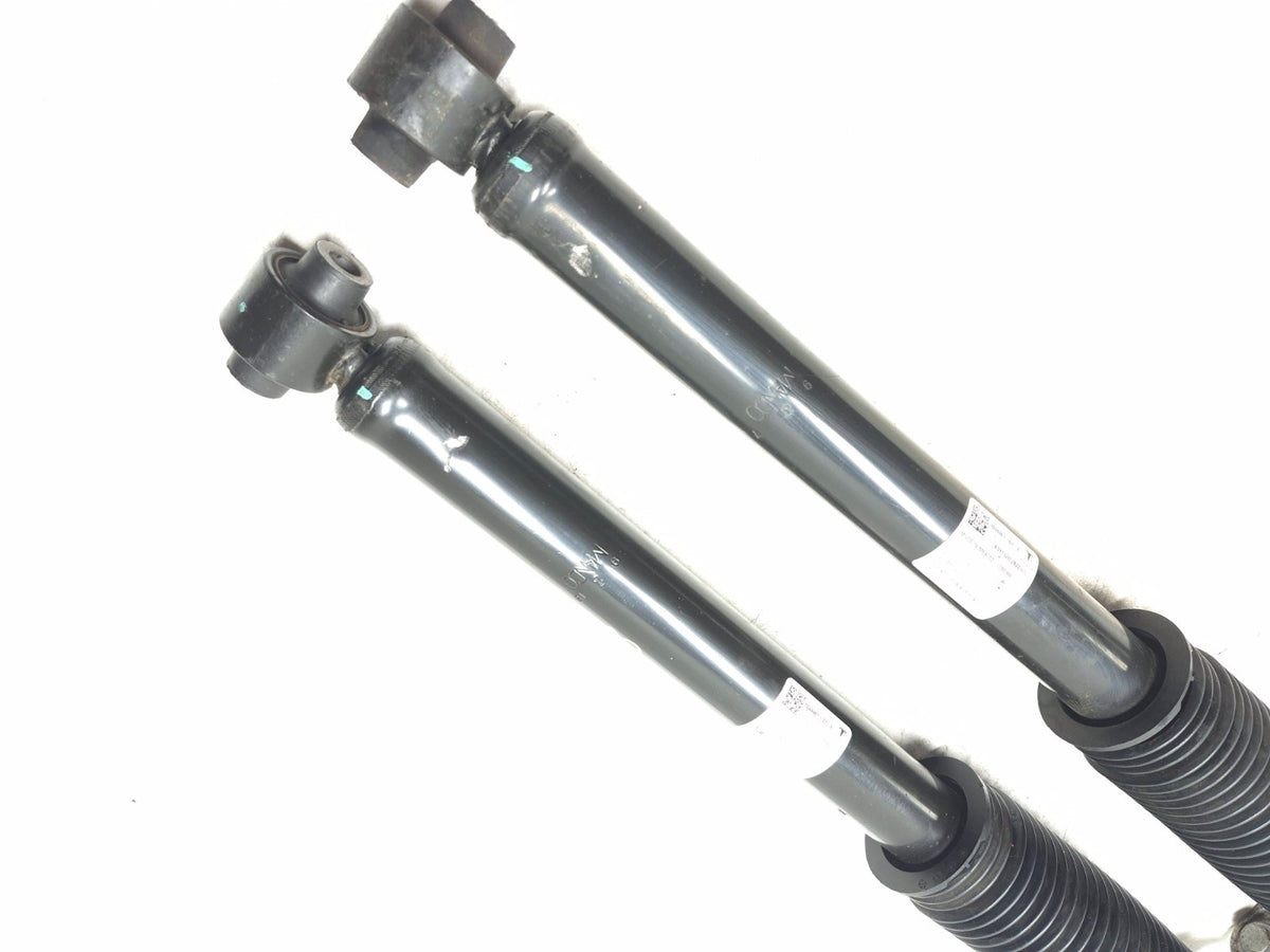 2020 Tesla Model 3 AWD Rear Shock Strut Absorber Left & Right OEM