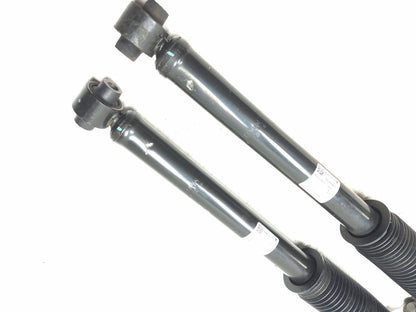 2020 Tesla Model 3 AWD Rear Shock Strut Absorber Left & Right OEM