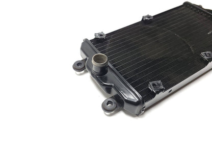 2016 Harley-davidson Street Xg750 Radiator Coolant OEM