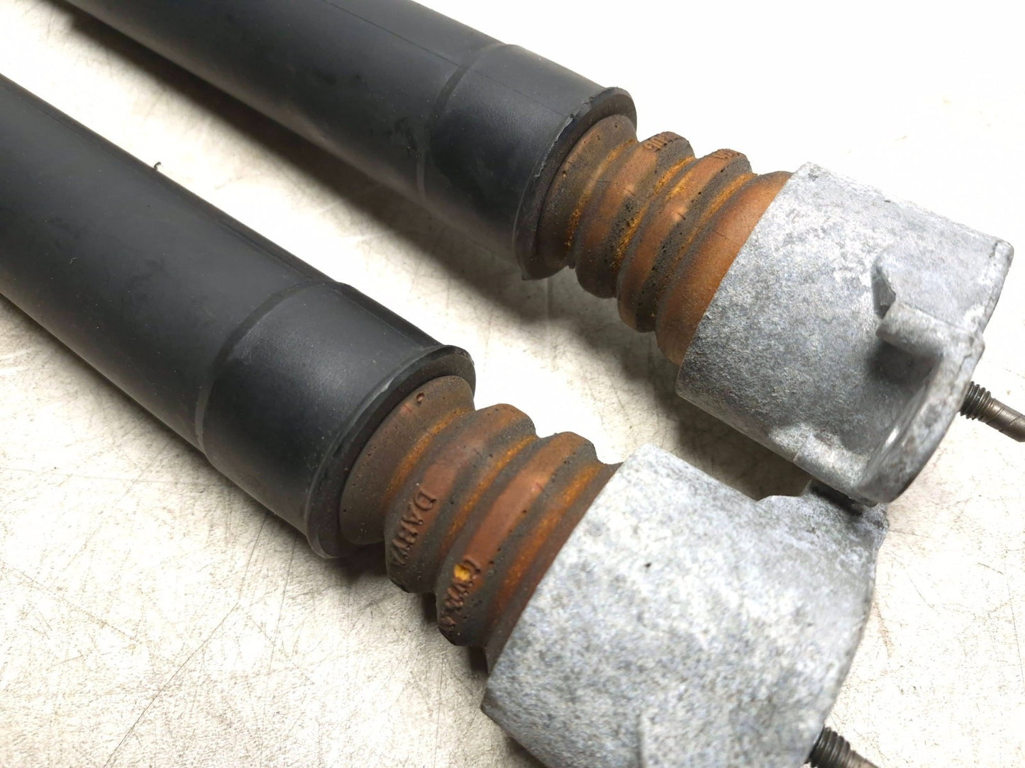 2019 Ford Ecosport Rear Shock Strut Absorber Pair OEM