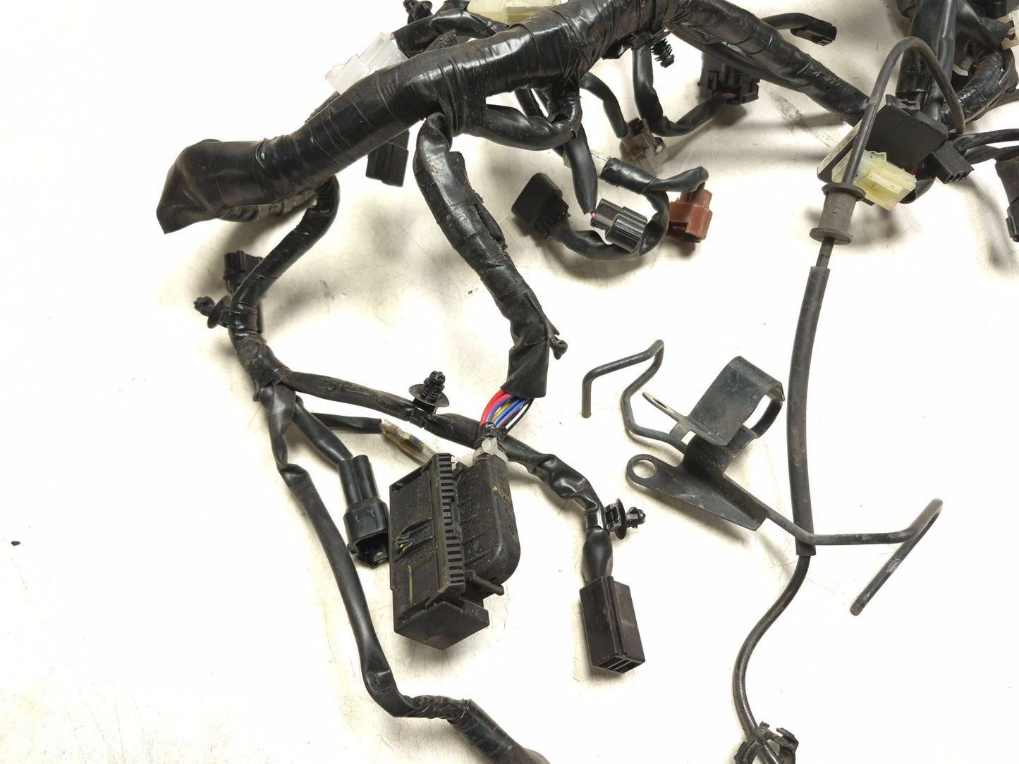 2024 Yamaha R3 Yzfr3 Main Wire Harness OEM