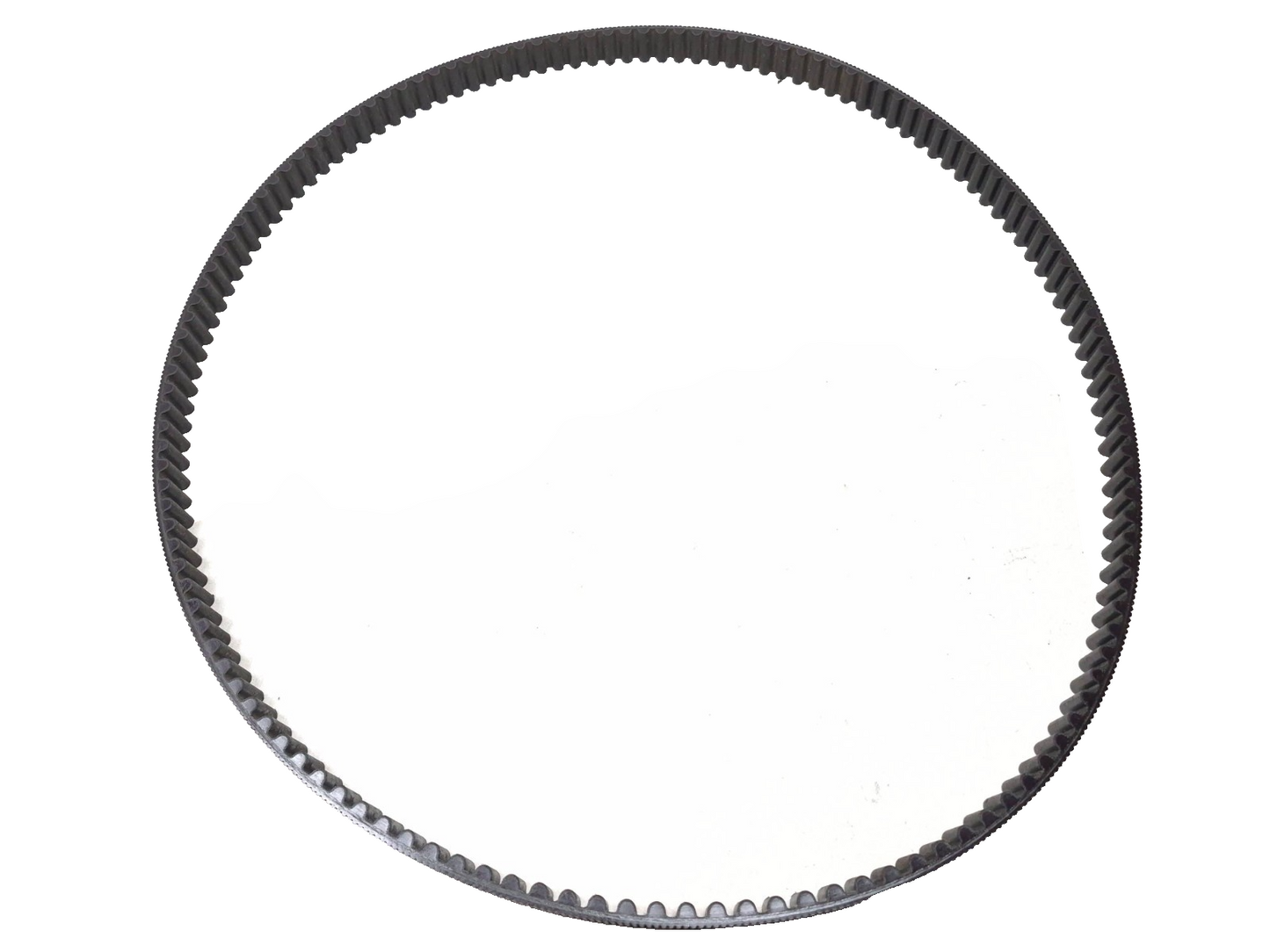 2009 Harley-davidson Sportster Xl883l Drive Belt OEM