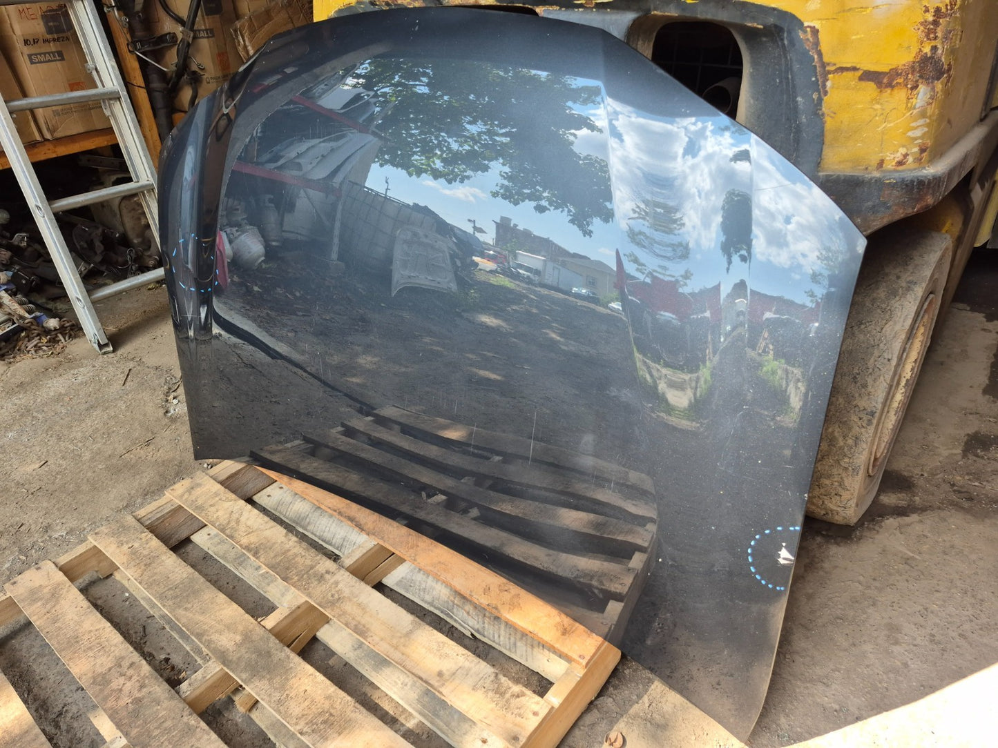 2010 Lexus Hs250h Hood Bonnet Panel OEM