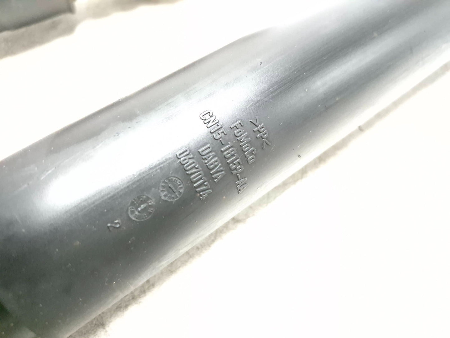 2019 Ford Ecosport Rear Shock Strut Absorber Pair OEM