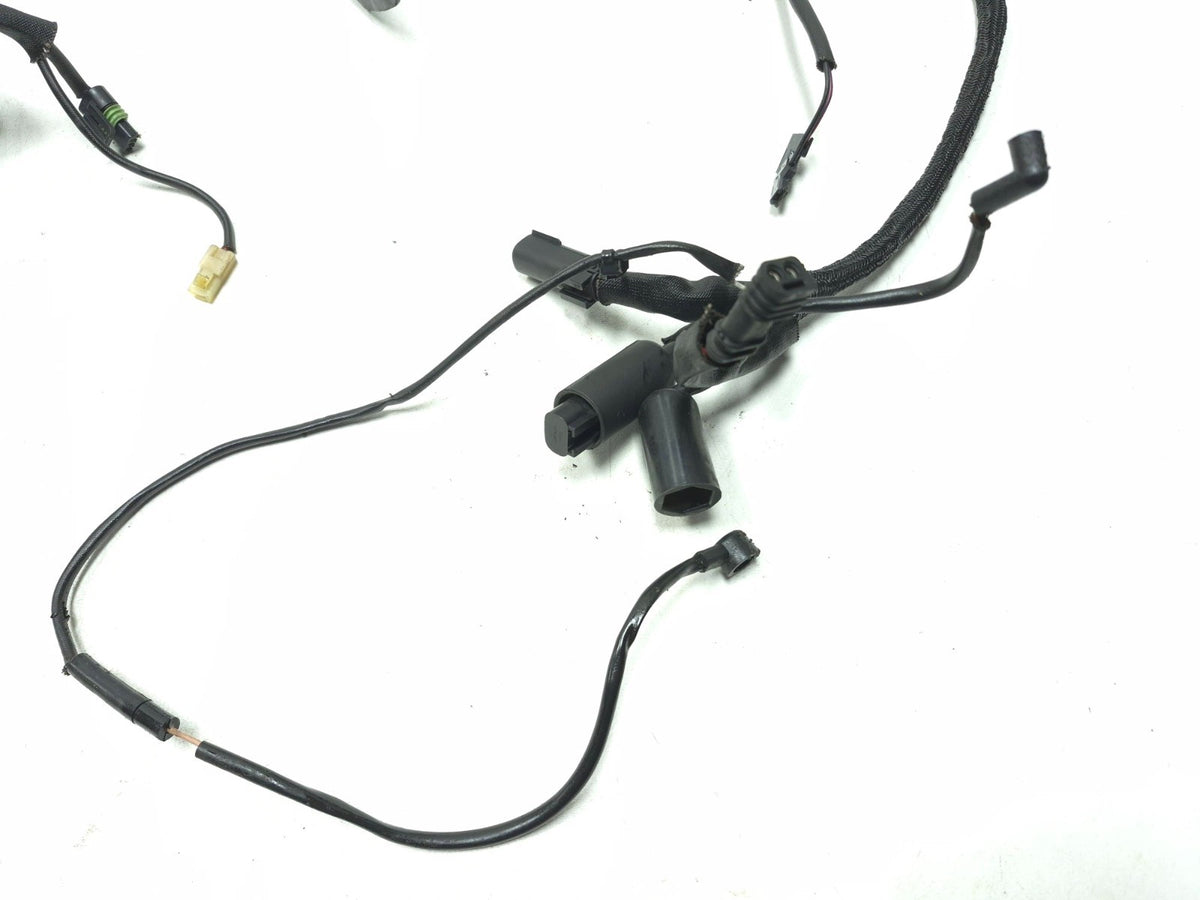 2014 - 2022 Harley Sportster 883 1200 Main Wire Harness *non Abs*