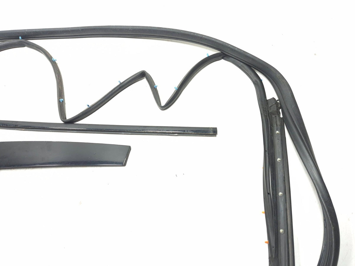 2004-2008 Acura Tl Front Door Weatherstrip Seal & Belt Passenger Side Right OEM